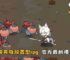 【切換英雄放置型rpg】2025最新禮包碼分享